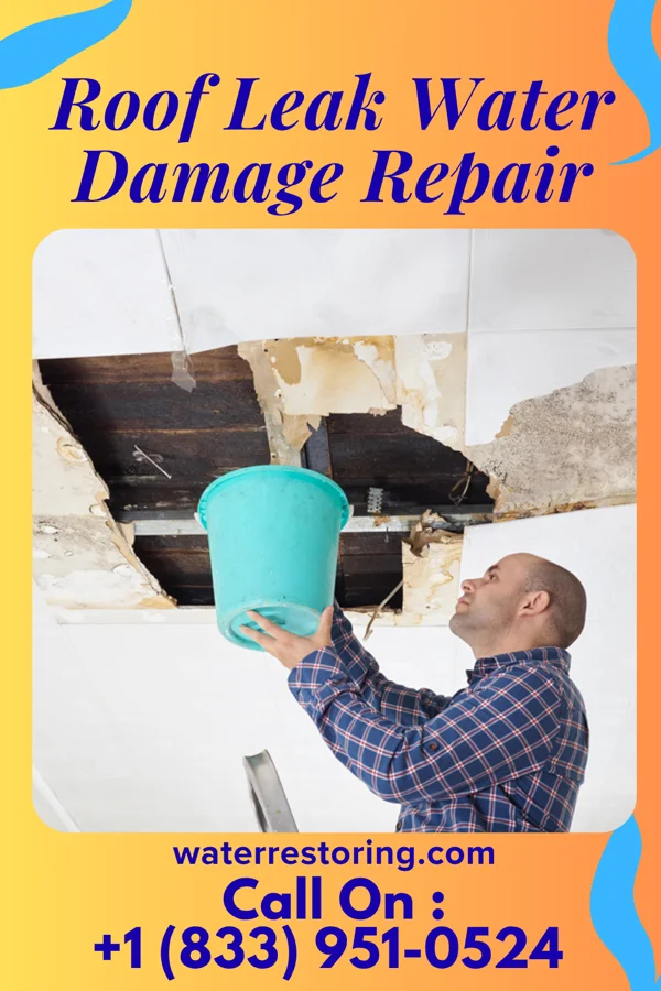 Roof Leak Water Damage Repair in East Village, CT