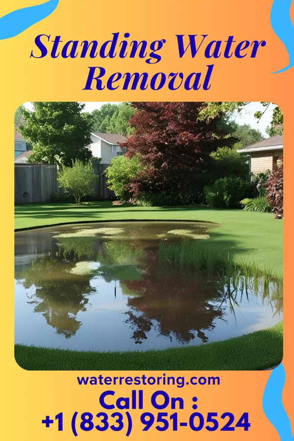 Standing Water Removal in East Village, CT